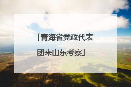 青海省党政代表团来山东考察