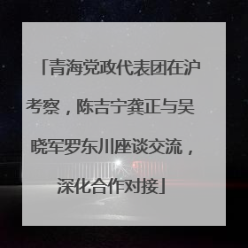 青海党政代表团在沪考察，陈吉宁龚正与吴晓军罗东川座谈交流，深化合作对接