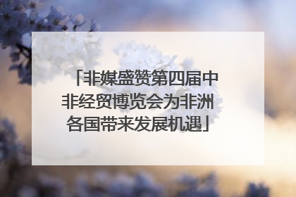 非媒盛赞第四届中非经贸博览会为非洲各国带来发展机遇