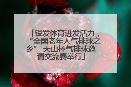 银发体育迸发活力，“全国老年人气排球之乡” 天山杯气排球邀请交流赛举行