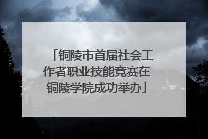 铜陵市首届社会工作者职业技能竞赛在铜陵学院成功举办
