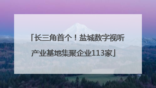 长三角首个！盐城数字视听产业基地集聚企业113家