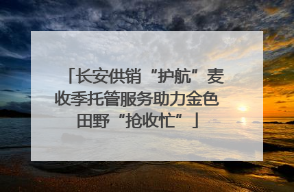 长安供销“护航”麦收季托管服务助力金色田野“抢收忙”