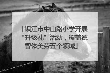 镇江市中山路小学开展“升级礼”活动，覆盖德智体美劳五个领域