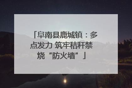 阜南县鹿城镇：多点发力 筑牢秸秆禁烧“防火墙”