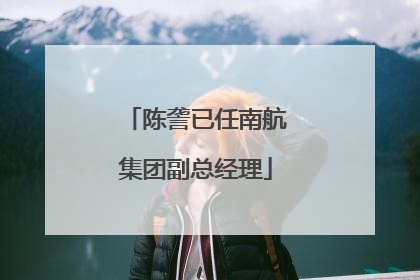 陈詟已任南航集团副总经理