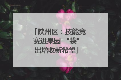陕州区：技能竞赛进果园 “袋”出增收新希望