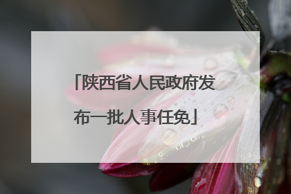 陕西省人民政府发布一批人事任免