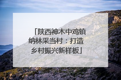 陕西神木中鸡镇纳林采当村：打造乡村振兴新样板