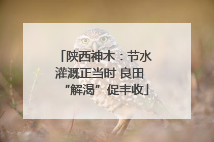 陕西神木：节水灌溉正当时 良田“解渴”促丰收