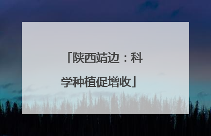 陕西靖边：科学种植促增收