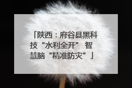 陕西：府谷县黑科技“水利全开” 智慧脑“精准防灾”