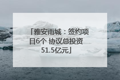 雅安雨城：签约项目6个 协议总投资51.5亿元