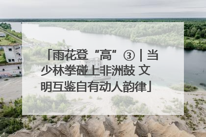 雨花登“高”③｜当少林拳碰上非洲鼓 文明互鉴自有动人韵律