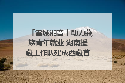 雪域湘音丨助力藏族青年就业 湖南援藏工作队建成西藏首个清洁能源装备园