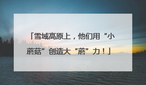 雪域高原上，他们用“小蘑菇”创造大“蘑”力！