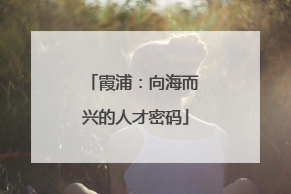 霞浦：向海而兴的人才密码