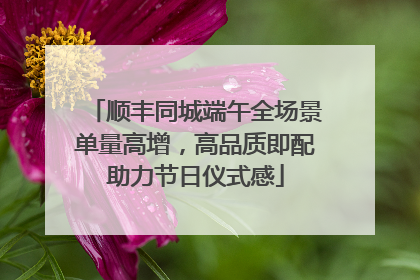顺丰同城端午全场景单量高增，高品质即配助力节日仪式感