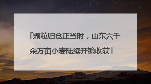 颗粒归仓正当时，山东六千余万亩小麦陆续开镰收获
