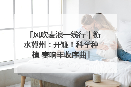 风吹麦浪一线行｜衡水冀州：开镰！科学种植 奏响丰收序曲