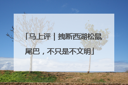 马上评｜拽断西湖松鼠尾巴，不只是不文明