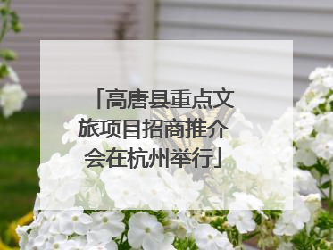 高唐县重点文旅项目招商推介会在杭州举行