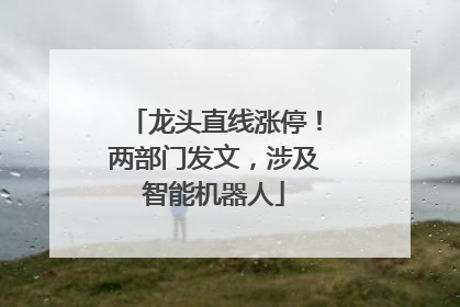龙头直线涨停！两部门发文，涉及智能机器人