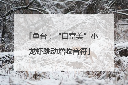 鱼台：“白富美”小龙虾跳动增收音符