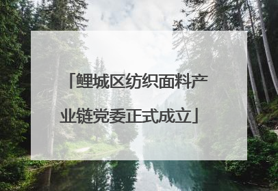 鲤城区纺织面料产业链党委正式成立