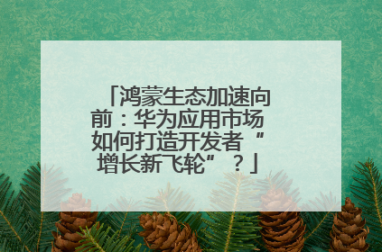鸿蒙生态加速向前：华为应用市场如何打造开发者“增长新飞轮”？