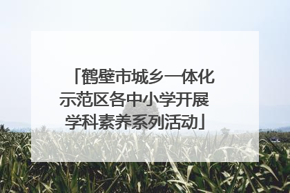 鹤壁市城乡一体化示范区各中小学开展学科素养系列活动