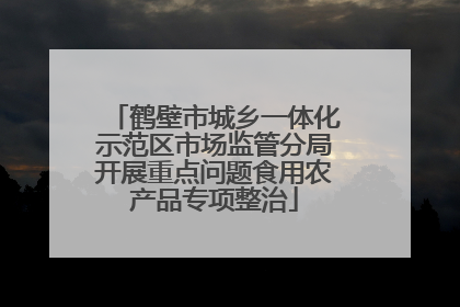 鹤壁市城乡一体化示范区市场监管分局开展重点问题食用农产品专项整治