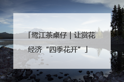 鹭江茶桌仔｜让赏花经济“四季花开”