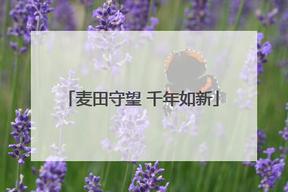 麦田守望 千年如新