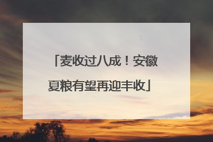 麦收过八成！安徽夏粮有望再迎丰收