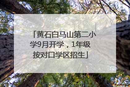 黄石白马山第二小学9月开学，1年级按对口学区招生