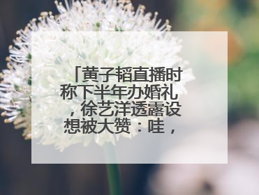 黄子韬直播时称下半年办婚礼，徐艺洋透露设想被大赞：哇，这个太好了