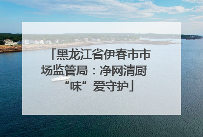黑龙江省伊春市市场监管局：净网清厨 “味”爱守护