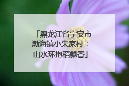 黑龙江省宁安市渤海镇小朱家村：山水环抱稻飘香