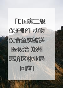 ﻿国家二级保护野生动物误食鱼钩被送医救治 郑州惠济区林业局回应