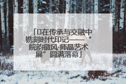 ﻿在传承与交融中镌刻时代印记——“皖韵徽风·师晶艺术展”圆满落幕