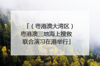（粤港澳大湾区）粤港澳三地海上搜救联合演习在港举行