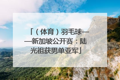 （体育）羽毛球——新加坡公开赛：陆光祖获男单亚军