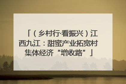 （乡村行·看振兴）江西九江：甜蜜产业拓宽村集体经济“增收路”