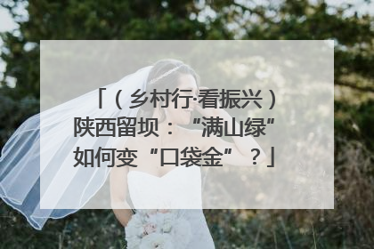 （乡村行·看振兴）陕西留坝：“满山绿”如何变“口袋金”？
