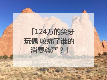 124万的尖牙玩偶 咬痛了谁的消费尊严？