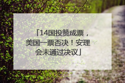 14国投赞成票，美国一票否决！安理会未通过决议