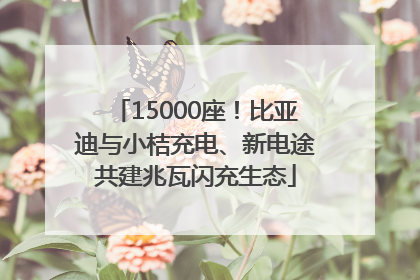 15000座！比亚迪与小桔充电、新电途共建兆瓦闪充生态