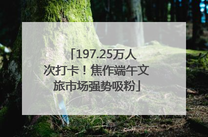 197.25万人次打卡！焦作端午文旅市场强势吸粉