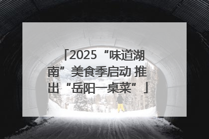 2025“味道湖南”美食季启动 推出“岳阳一桌菜”